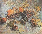 Vincent Van Gogh Still life with Grapes,Apples,Pear and Lemons (nn040 oil